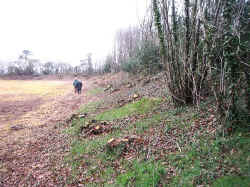 Camp romain de Kerfloch.JPG (179385 octets)