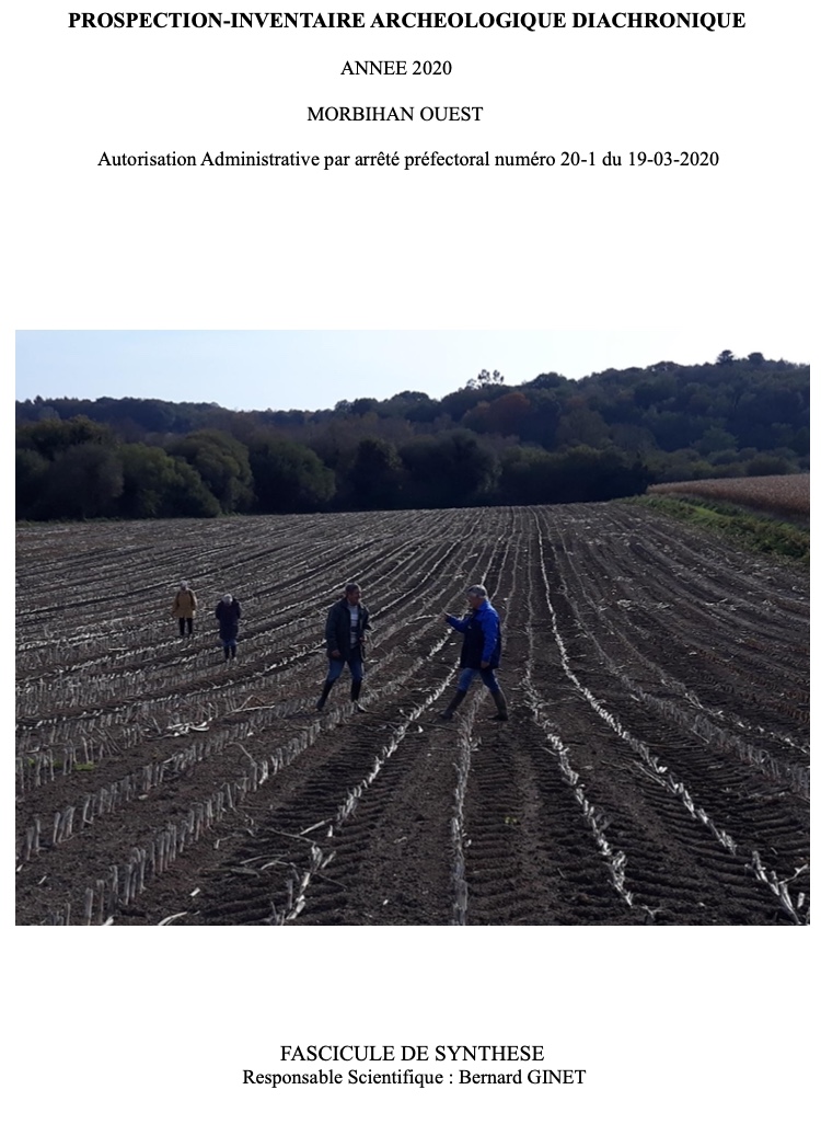 Rapport de synthese 2020